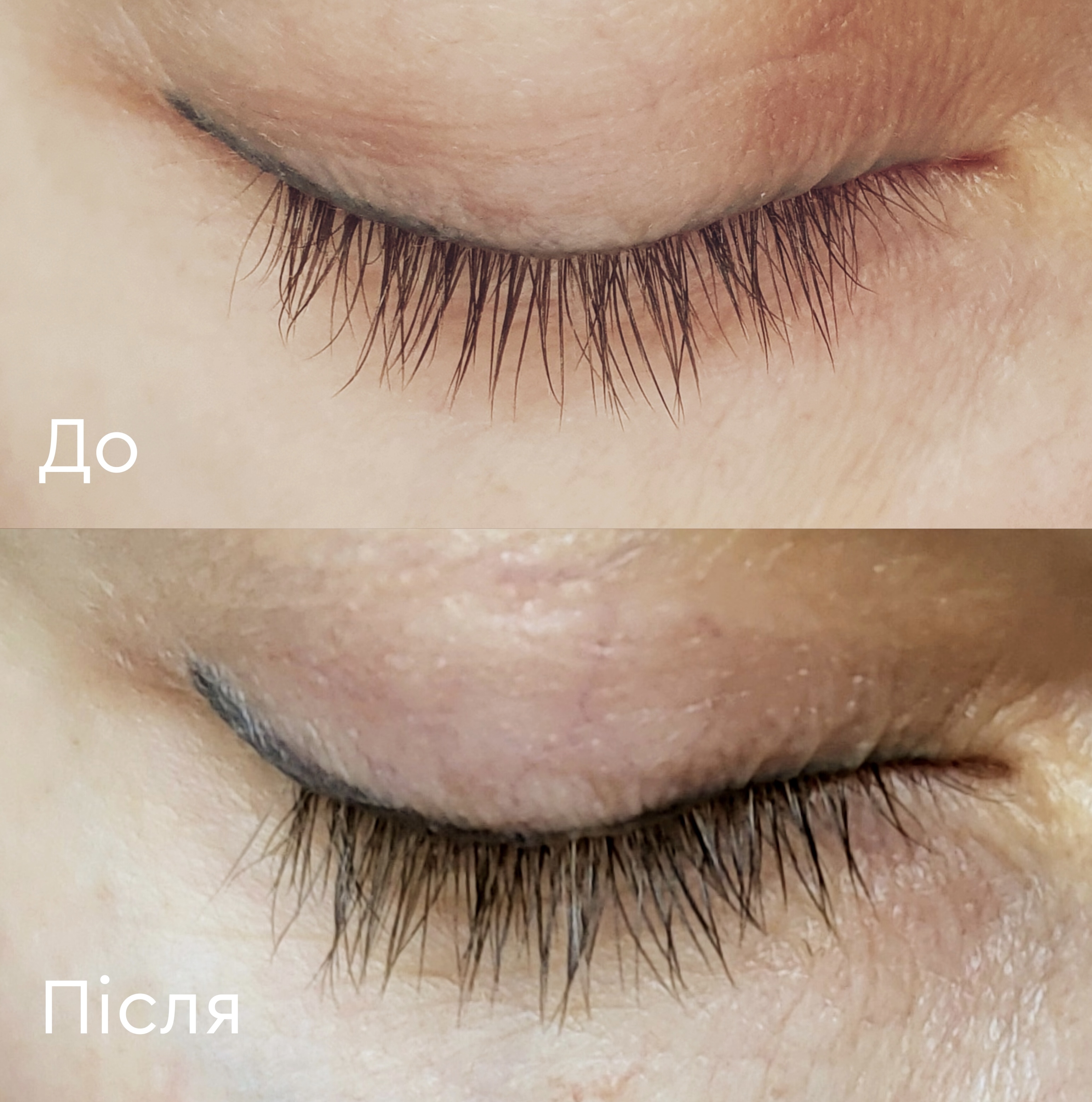 Lash Elixir Serum elixir for the restoration and growth of eyelashes and eyebrows